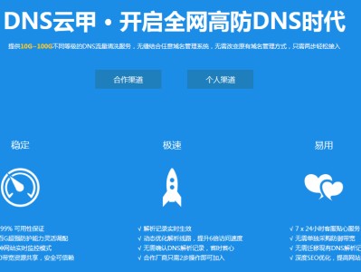 开启全网高防DNS时代-DNS云甲