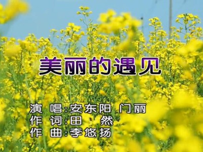 安东阳/门丽《美丽的遇见》原版MV